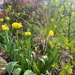 Apartment Florentine
