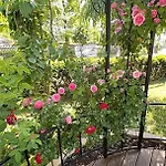 Florentine Apartment *