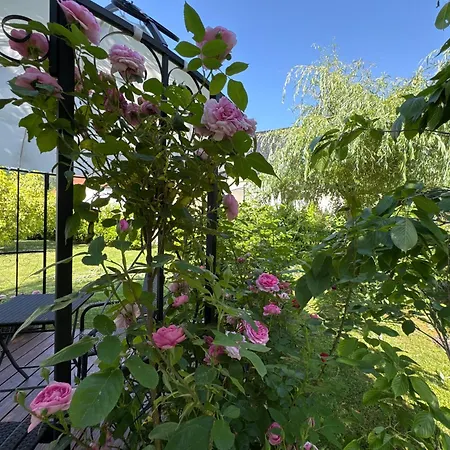 Florentine * باد ليبنستين