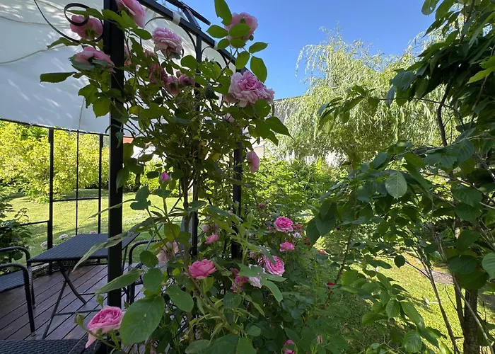 Florentine * Бад-Либенштайн