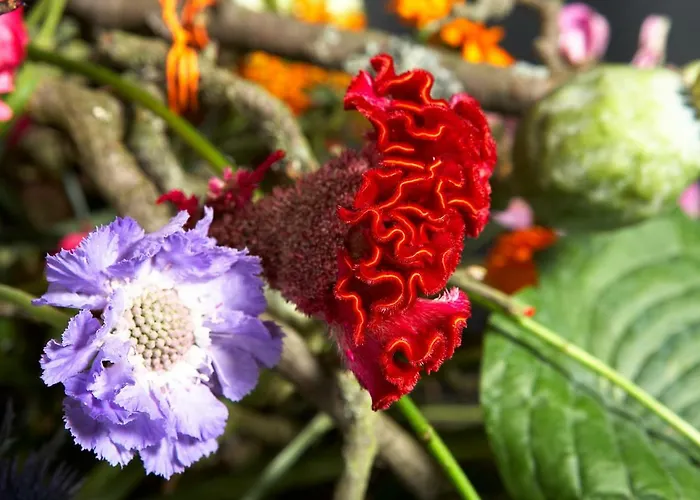 Florentine * Бад-Либенштайн